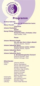 Viola Solo 15.08.2009 Flyer